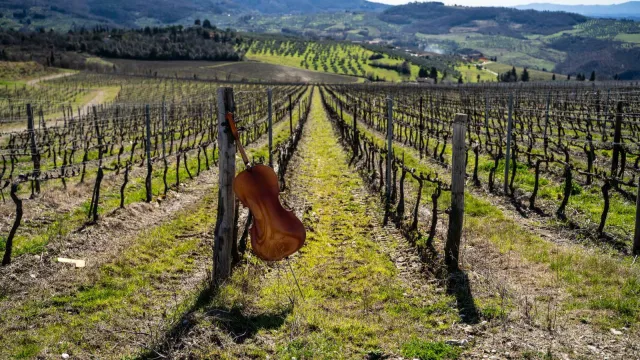 Jazz in Fattoria 2025